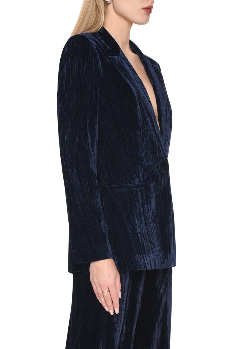 Goodwin Blazer, Alternate, color, NAVY