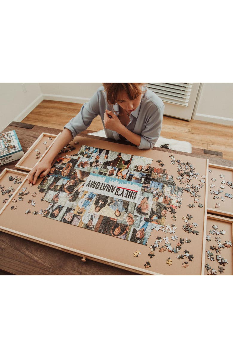 Toynk Grey's Anatomy Collage 1000 Piece Jigsaw Puzzle, Alternate, color, Multi-Colored