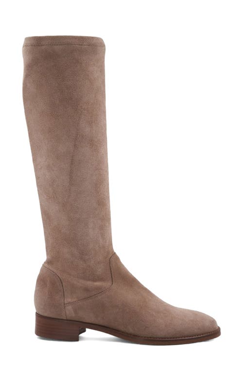 Aquatalia Sabrena Water Resistant Knee High Boot In Brown
