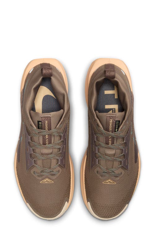 Nike Pegasus Trail 5 Gore-tex® Waterproof Running Shoe In Multi