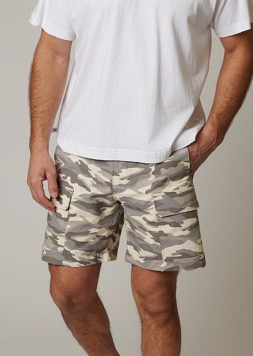 Leisure Lab Ripstop Cargo Camo Shorts In Arctic
