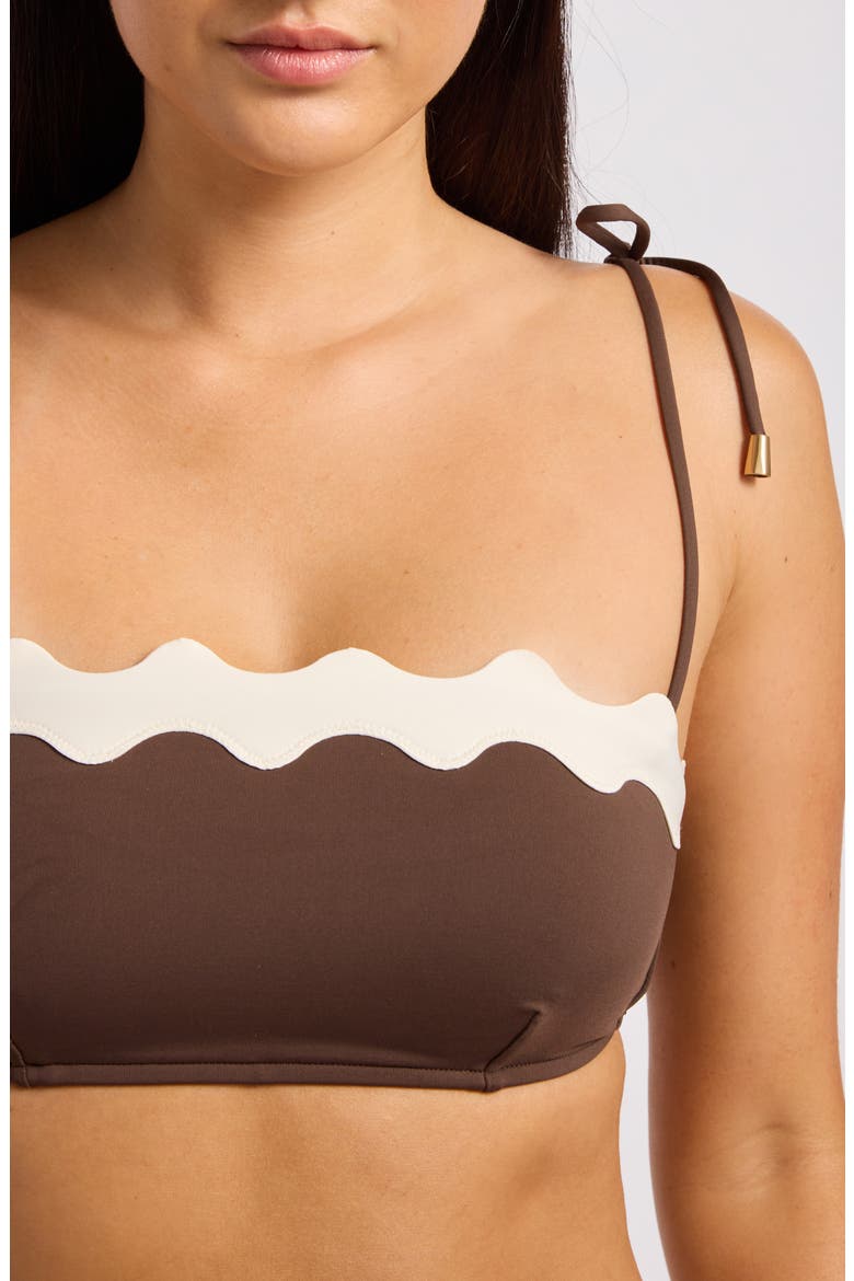 Contrast Trim Bikini Top, Alternate, color, DARK CHOCOLATE