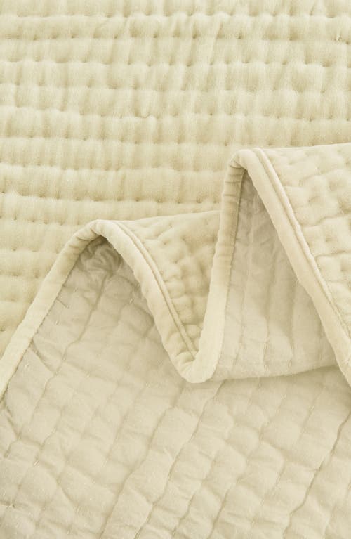 Melange Home Tamara Velour Quilt 3-piece Set In Ivory