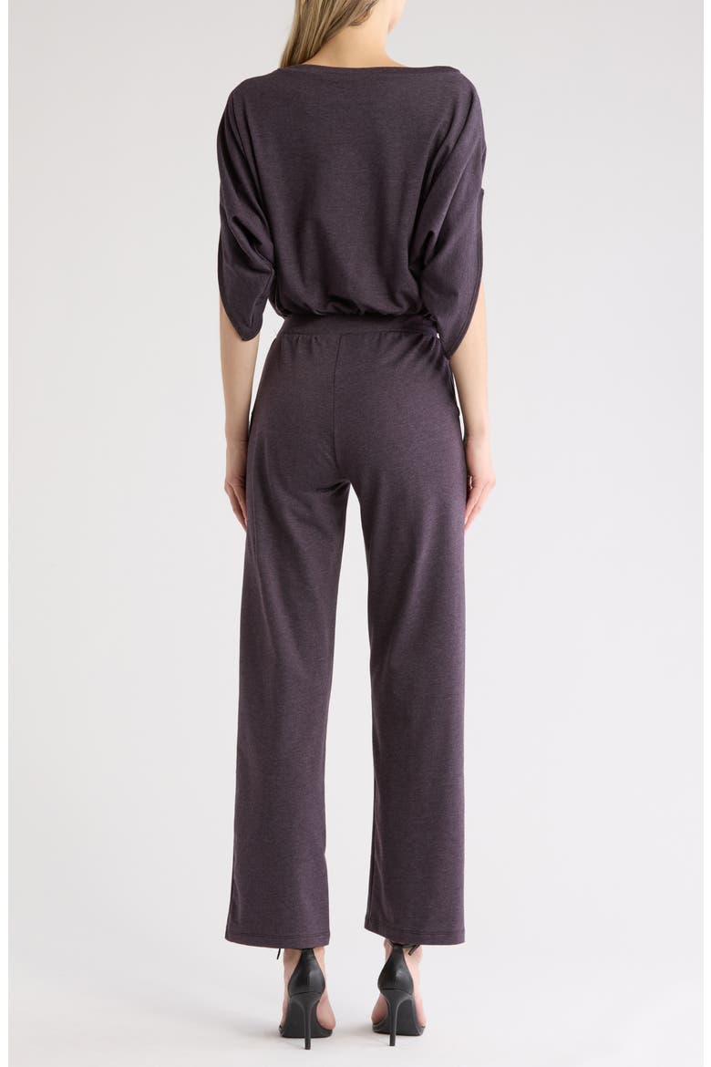 Raglan Sleeve Jumpsuit, Alternate, color, EGGPLANT