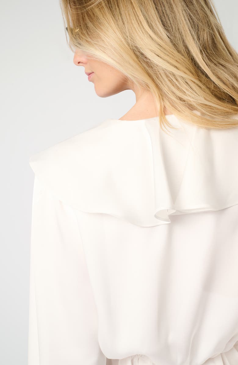 Long Sleeve Ruffle Minidress