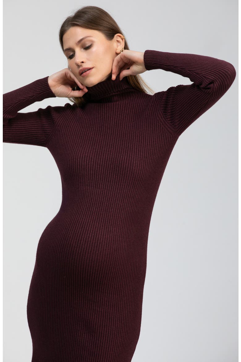 Celeste Long Sleeve Rib Maternity Body-Con Dress, Alternate, color, CHERRY LACQUER