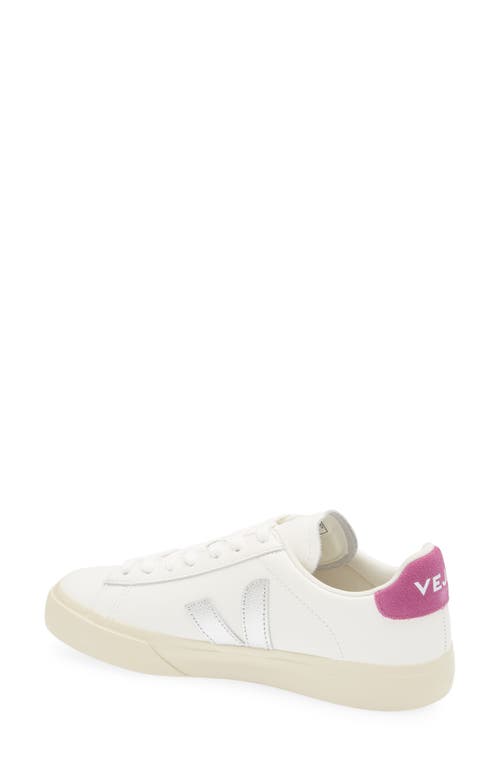 Veja Campo Sneaker In Multi