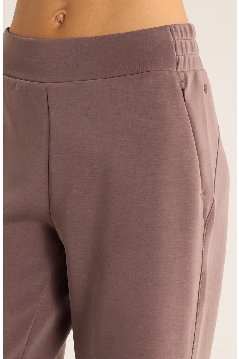 Cozy Luxe High Waist Straight Leg Pants, Alternate, color, GREY PLUM