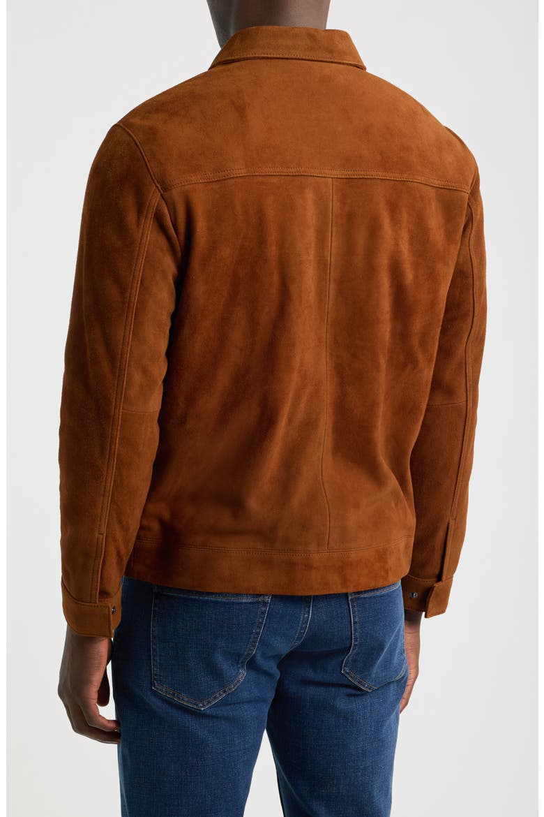 Deer Suede Jacket, Alternate, color, SADDLE