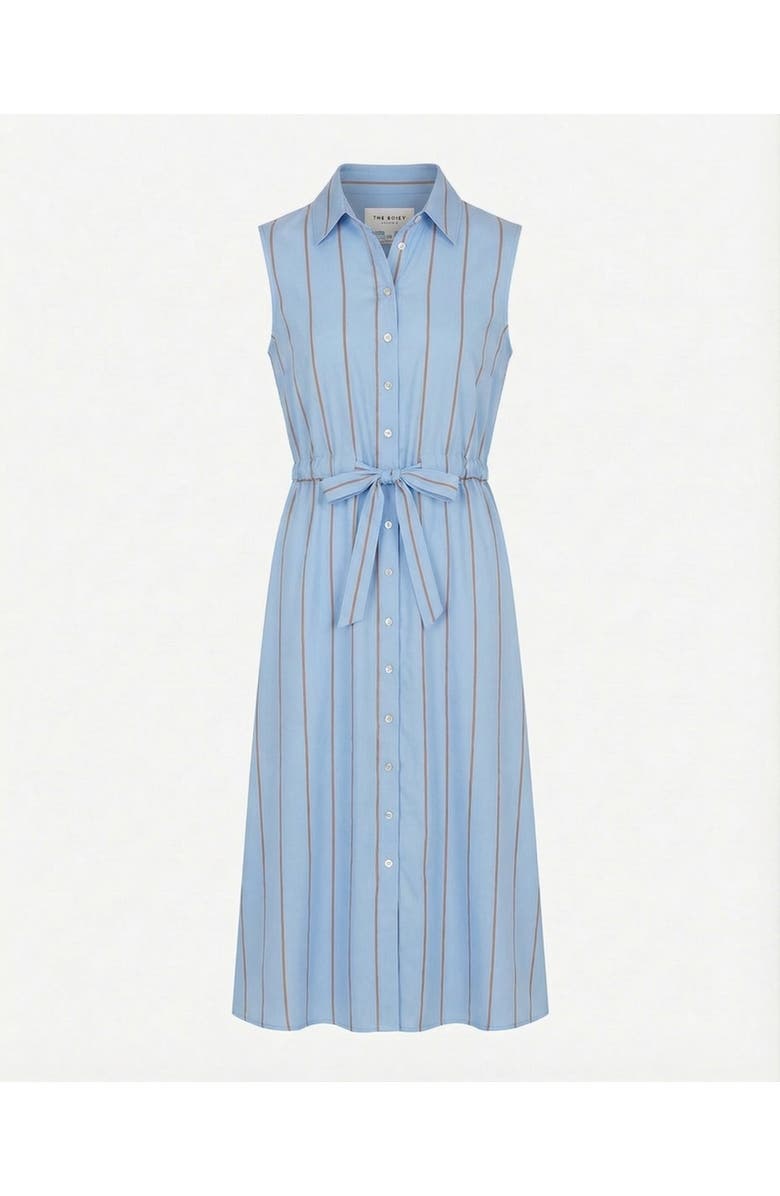 The Shirt by Rochelle Behrens The Sleeveless Midi Dress, Main, color, Light Blue/Taupe