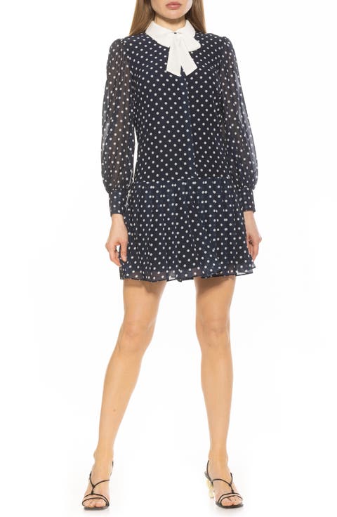 Glennis Collared Shirtdress