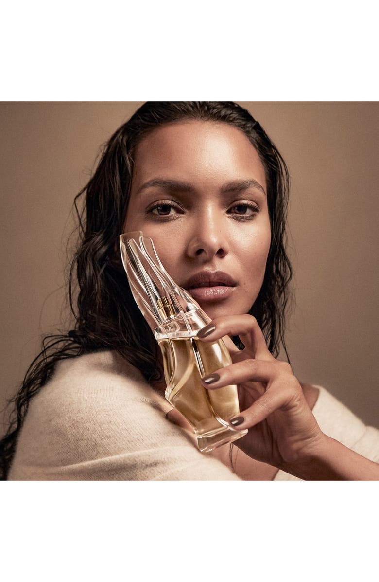 Donna Karan New York Cashmere Mist Eau de Parfum Spray, Alternate, color,