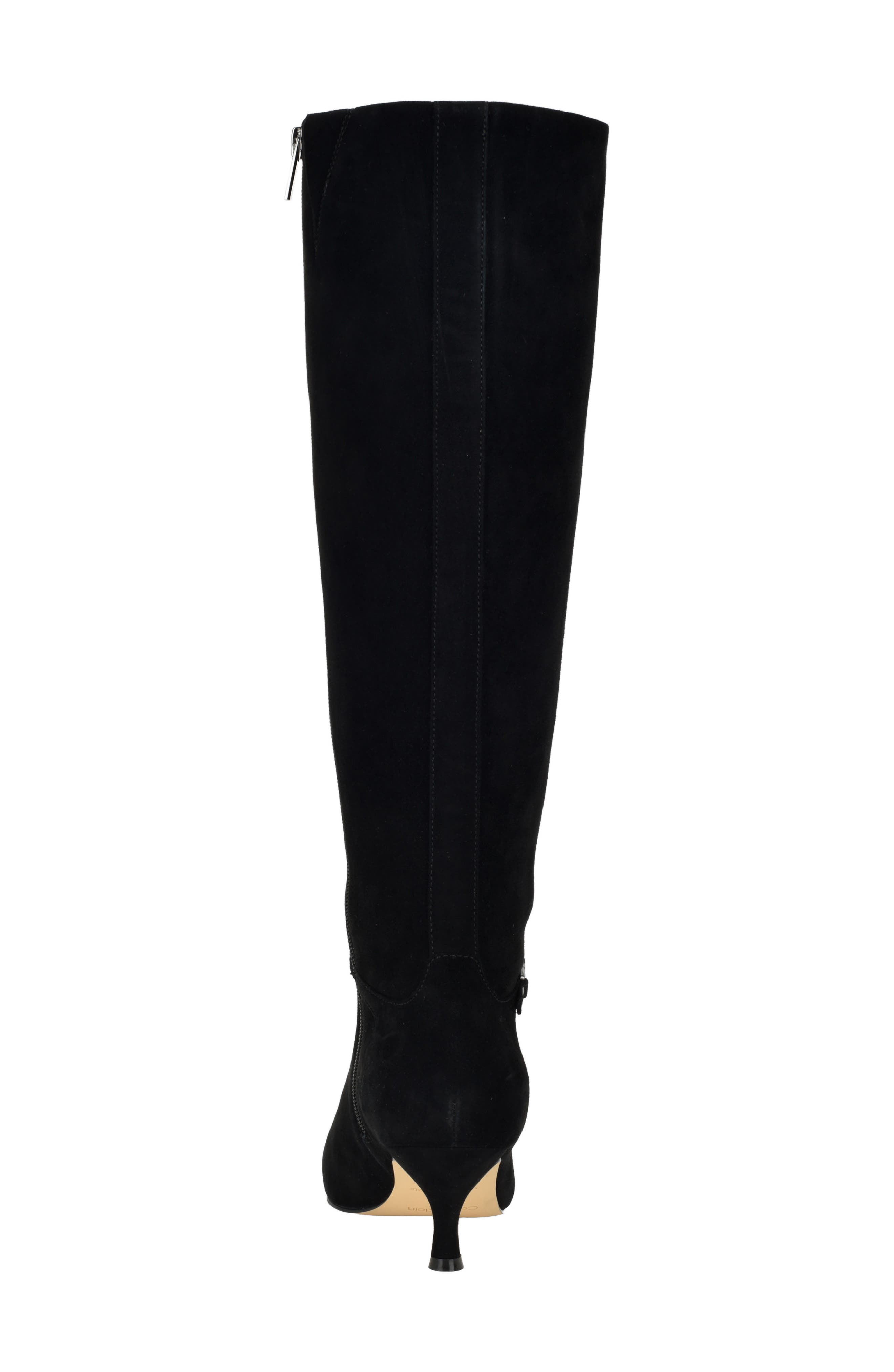Serray Pointed Toe Knee High Boot, Alternate, color, BLACK