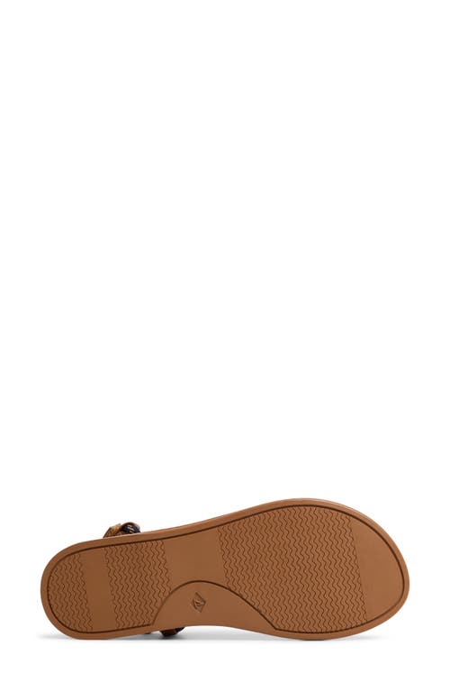 Sperry Isla T-bar Slingback Sandal In Brown