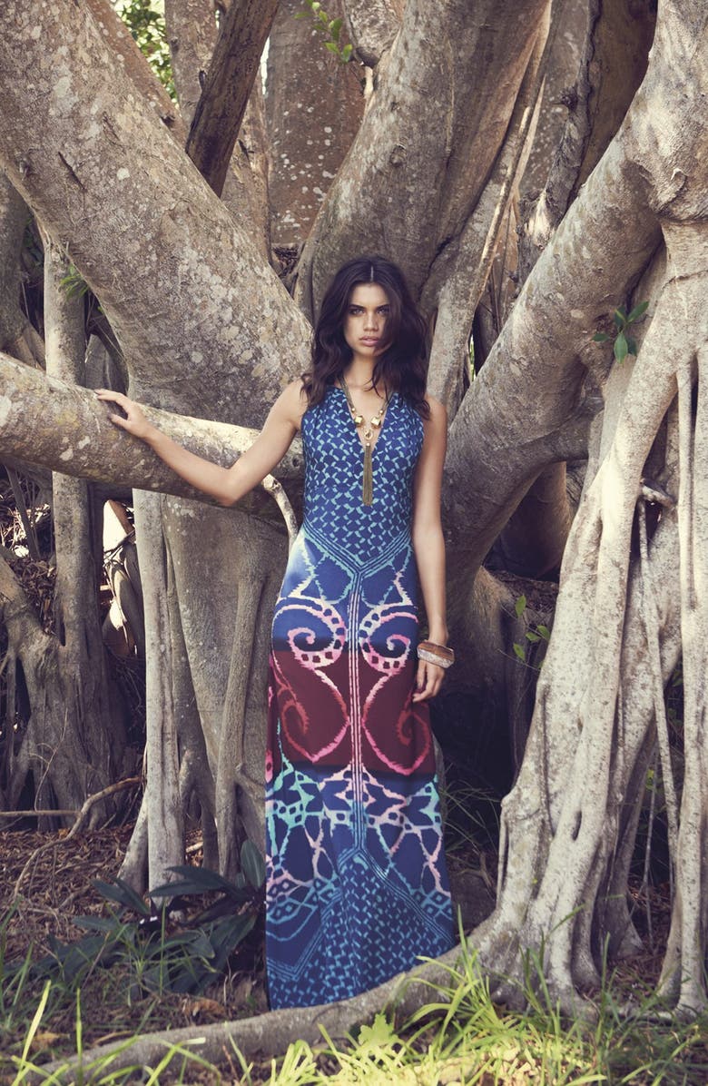 Donna Morgan Print Maxi Dress, Alternate, color, 