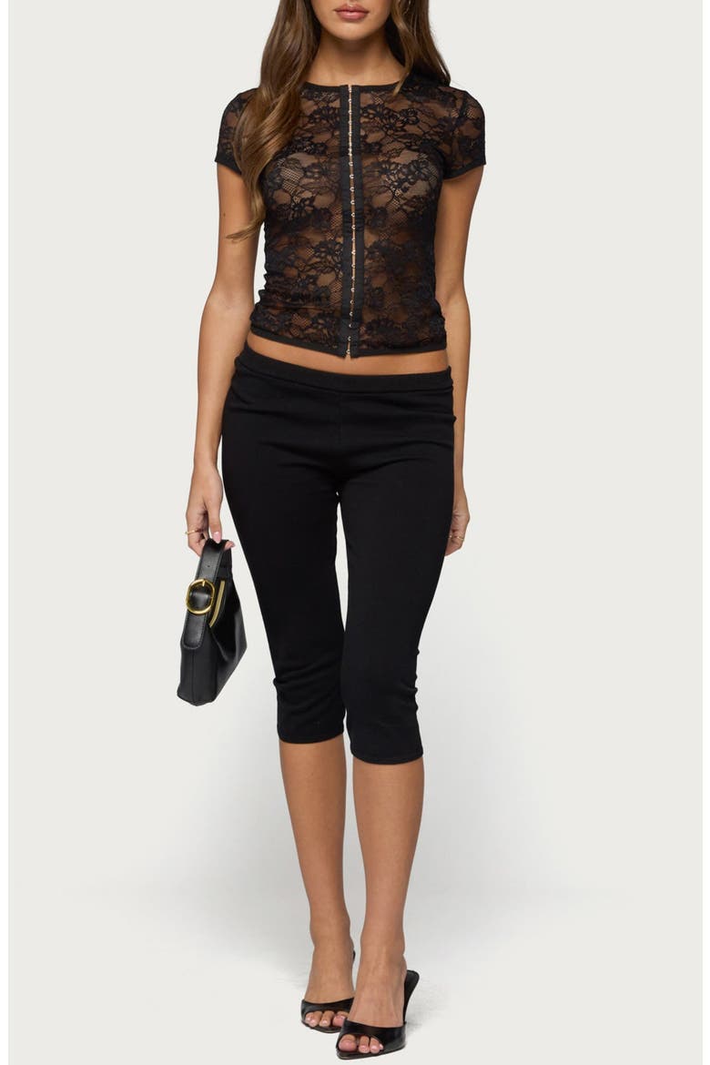 Jessi Sheer Lace Hook & Eye Top, Alternate, color, BLACK