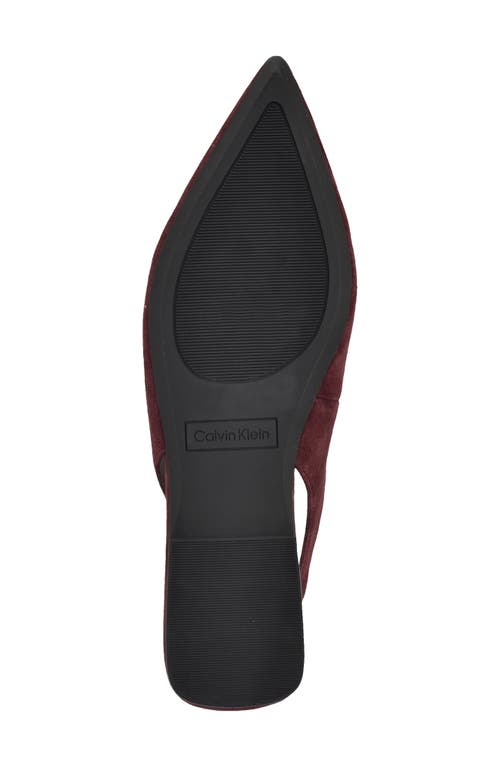 Calvin Klein Galiana Slingback Pointed Toe Flat