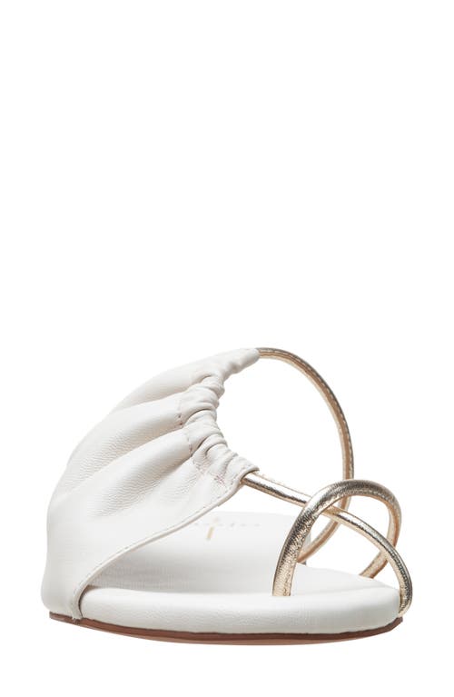 Linea Paolo Lane Toe Loop Sandal