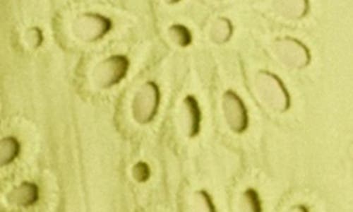 English Factory Embroidered Cotton Shorts In Green