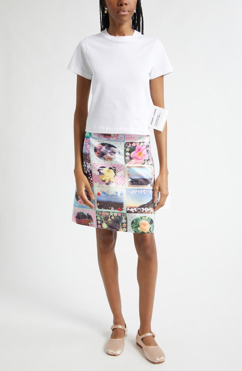 Sandy Liang Ina Sticker Print Satin A-Line Skirt, Alternate, color, Pink Multi