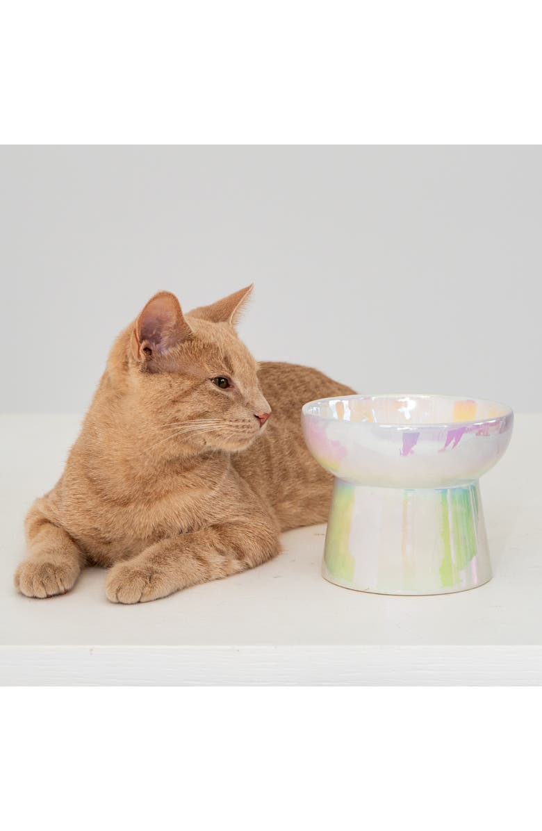 Dexypaws Elevated Ceramic Bowl For Cats Iridescent 7Oz Capacity, Alternate, color, Off-White