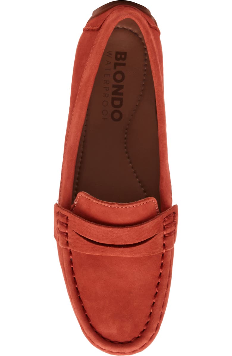 Blondo Shellby Waterproof Driving Loafer, Alternate, color, Org Nubuck