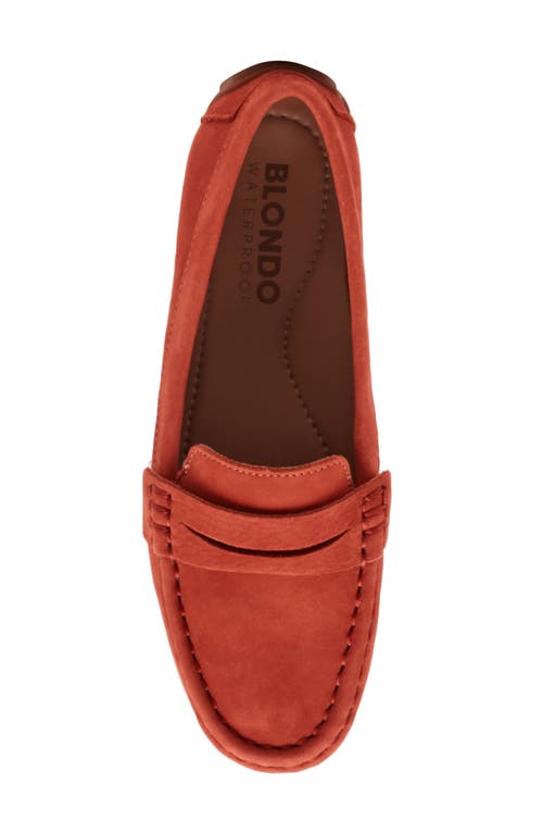 Blondo Shellby Waterproof Driving Loafer In Red
