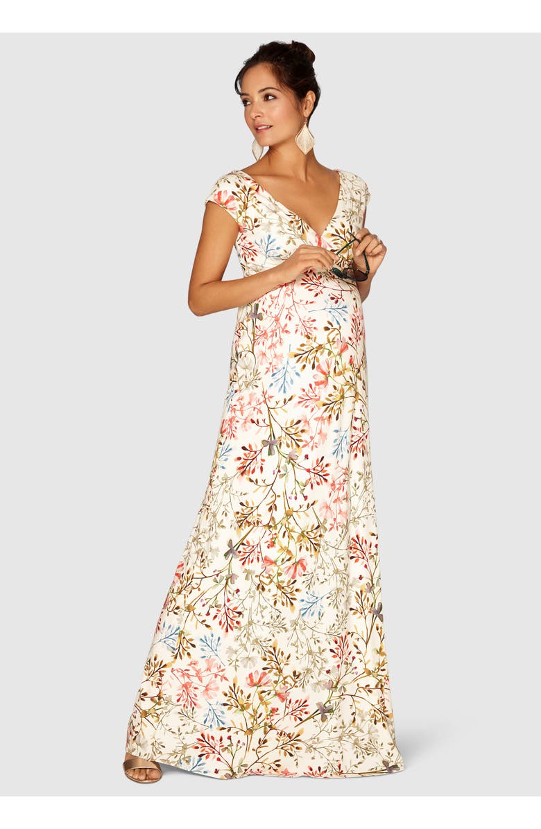Tiffany Rose Maternity Alana Maternity Maxi Dress, Main, color, Watercolour Meadow