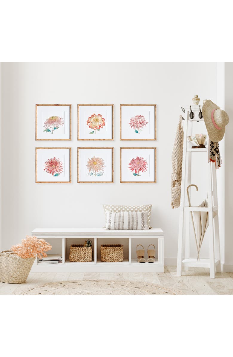 Napa Home & Garden Colorful Chrysanthemum Prints St/6, Alternate, color, Pink