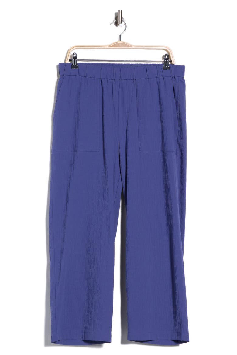 Straight Leg Cropped Pants, Main, color, BLUET