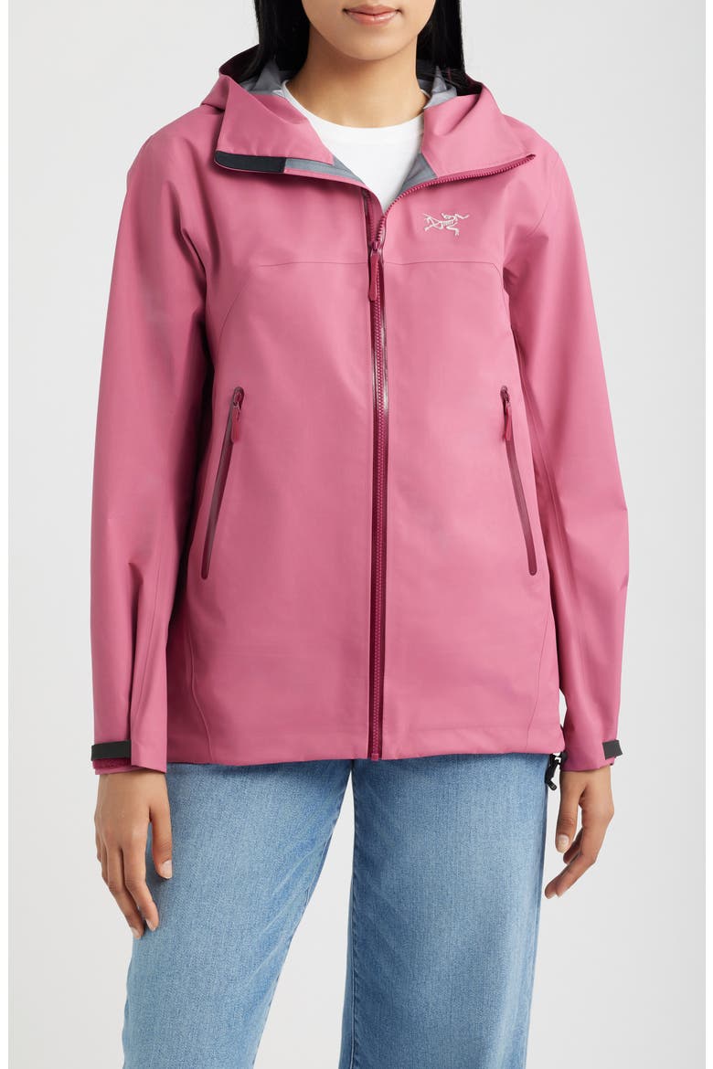 Beta Gore-Tex Waterproof Jacket, Main, color, LIGHT RENEGADE