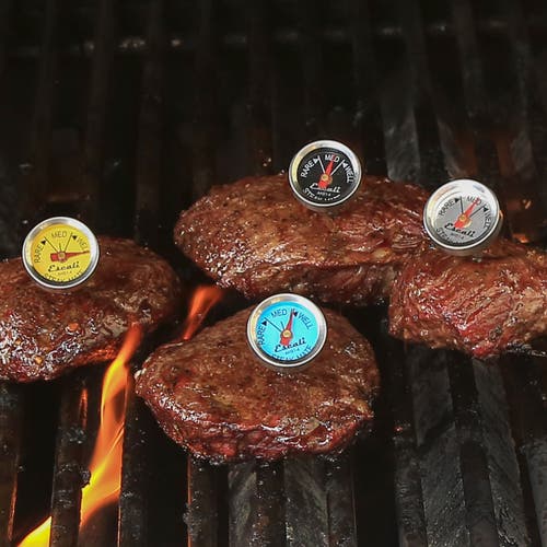 Escali Easy Read Steak Thermometer Set In Multi