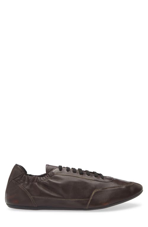Prada Collapse Low Top Sneaker In Brown