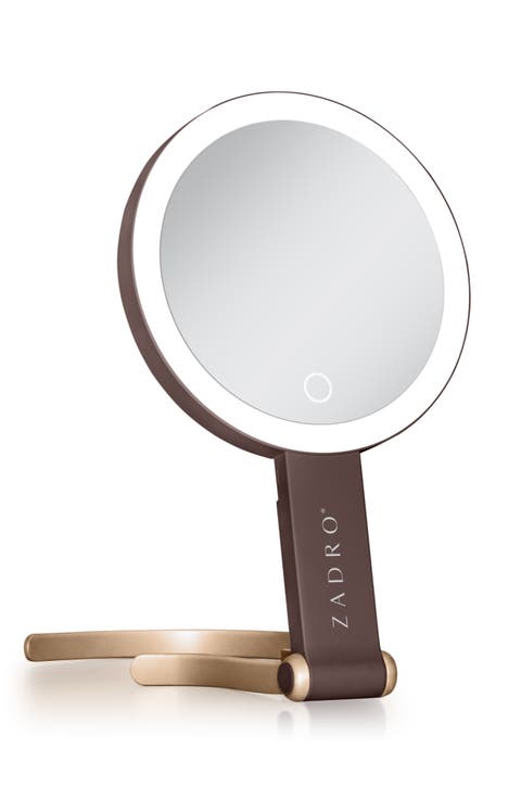 Multi-position Lighted Travel Hand Mirror With 10x/1x Magnification