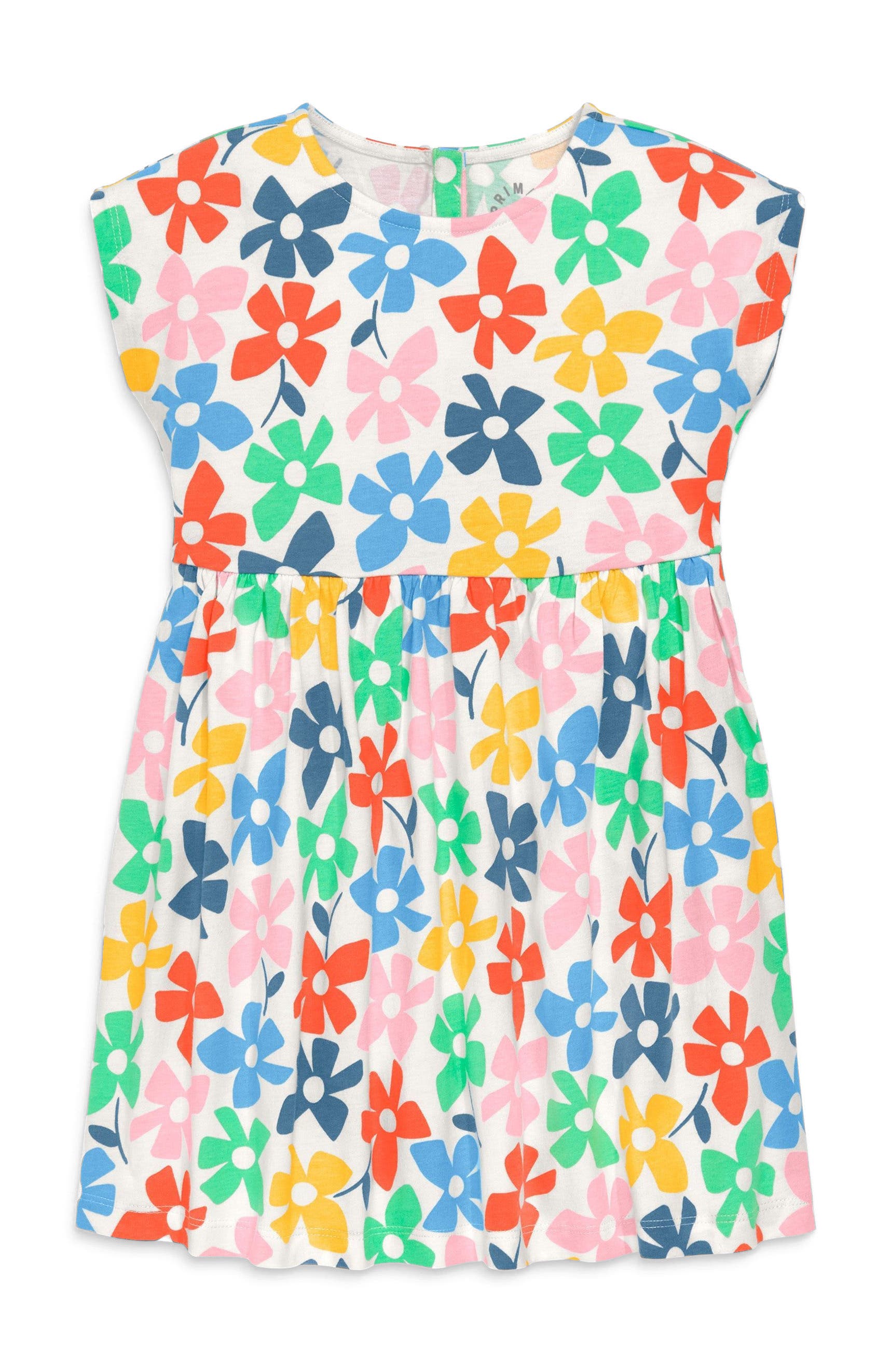 selected Ivory Rainbow Spring Blooms