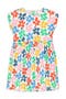 selected Ivory Rainbow Spring Blooms