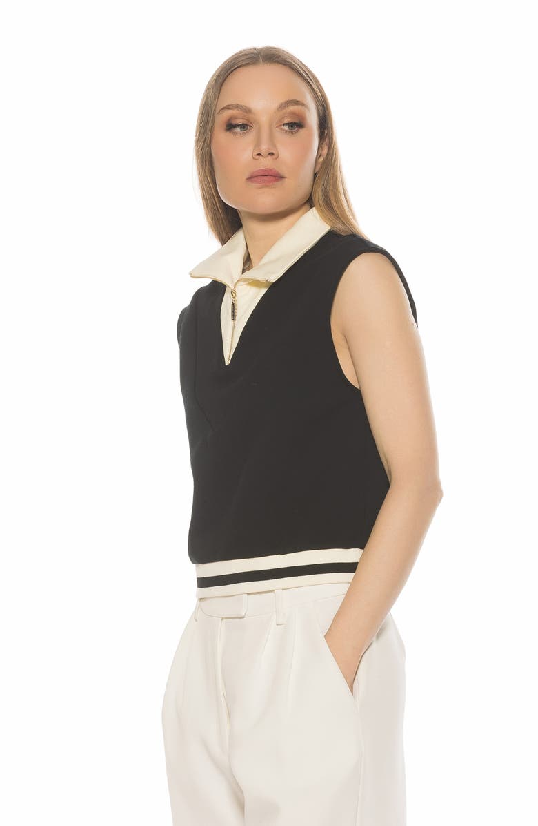 Alexia Admor Denise Collared Top, Alternate, color, Black/ Ivory