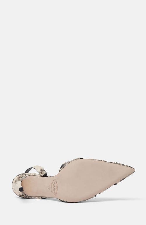 Scarosso Athena Pumps