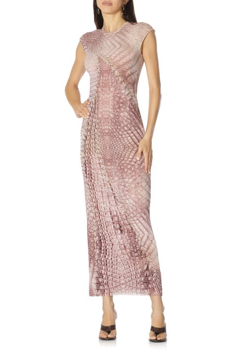 Mylo Print Mesh Maxi Dress