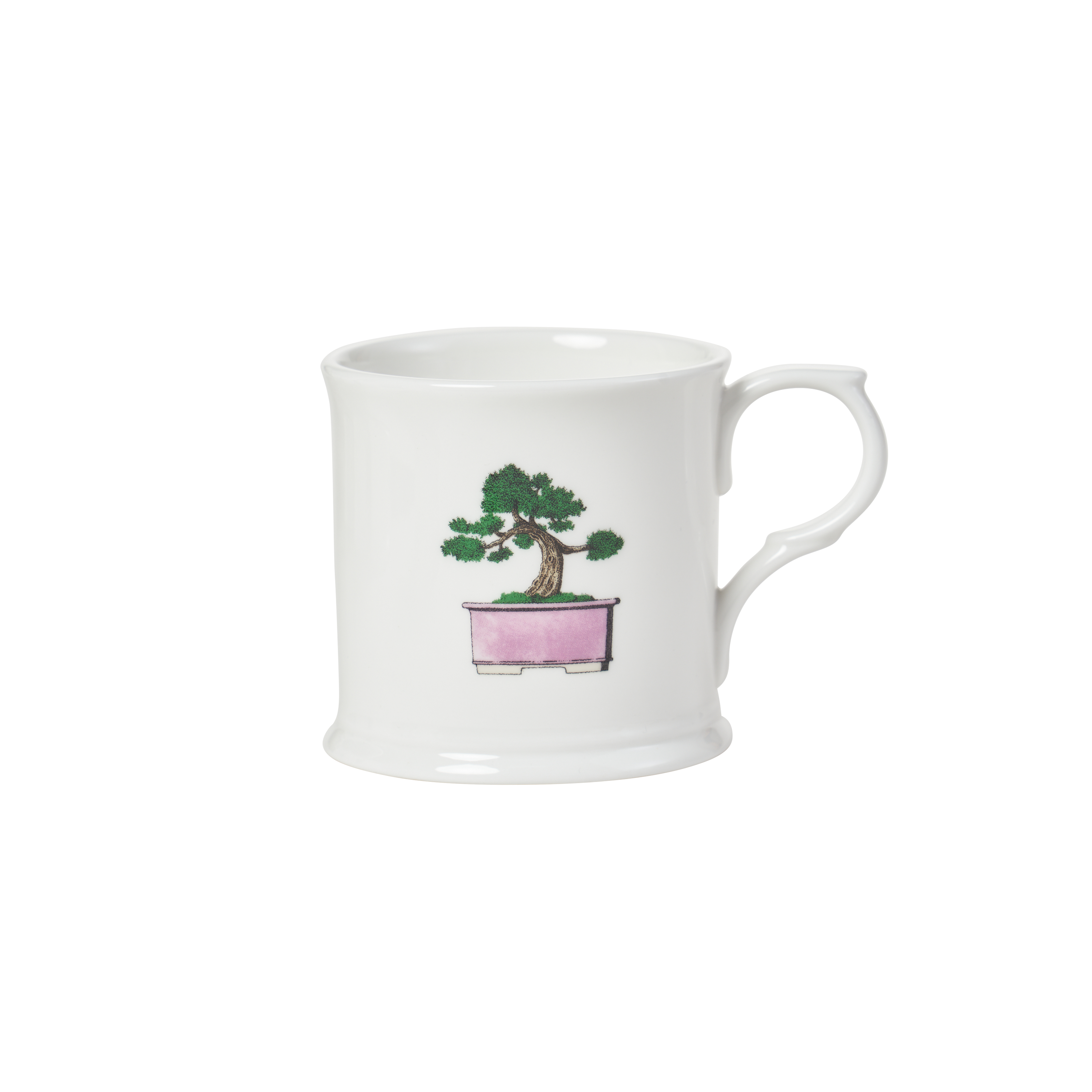 selected Bonsai