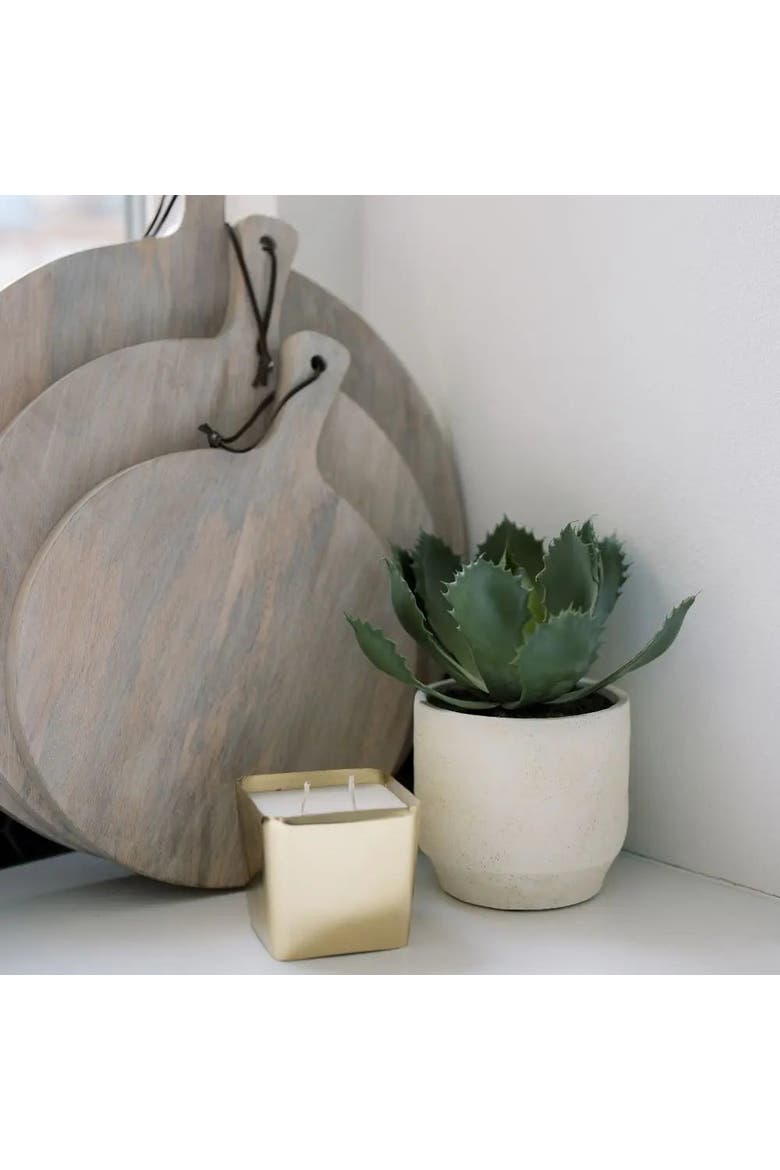 Artificial Succulent Plant Set in Stone Pots, Realistic 2-Pack, Alternate, color, Green succulents in stone pots