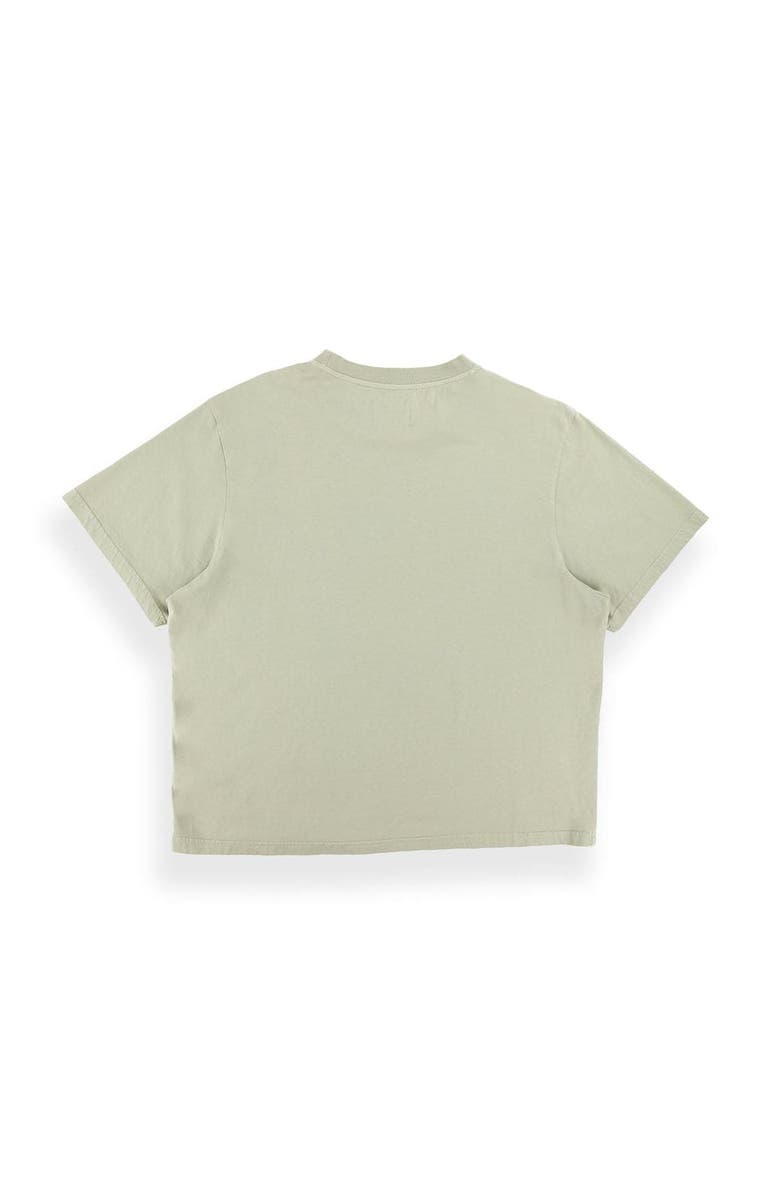 Fly By Night Zamora T-shirt, Alternate, color, Tea/ Street Vision