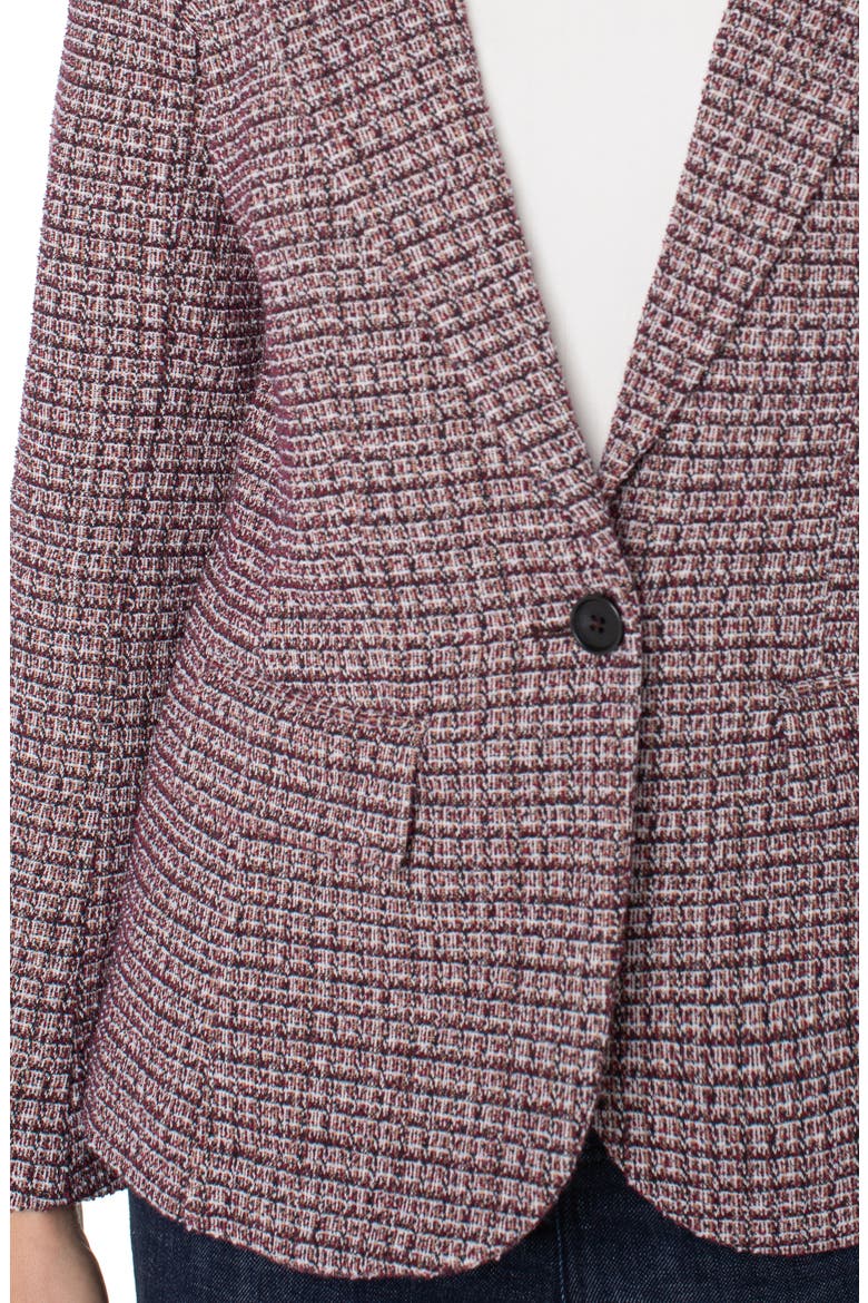 Tweed Blazer with Removable Hoodie Insert, Alternate, color, WINE MULTI