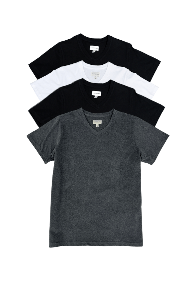Essential Premium V-Neck 4-Pack 2.0, Main, color, Essential