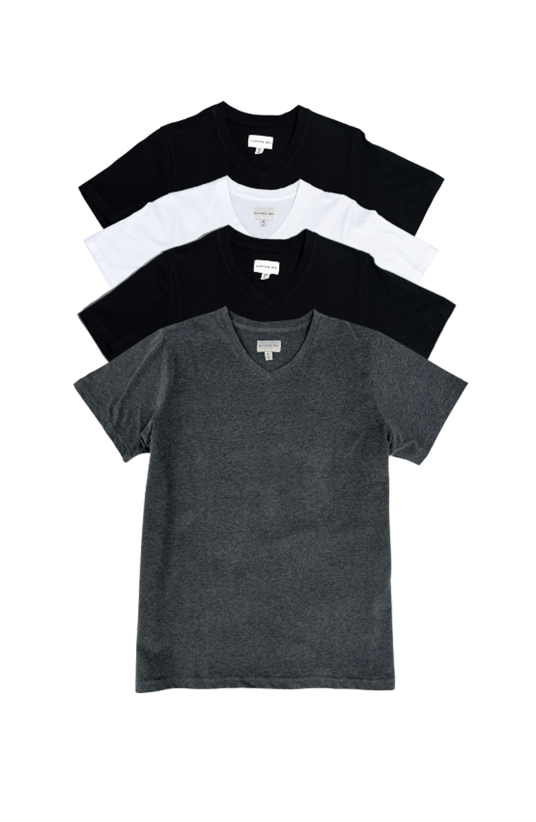 Dapper Boi Essential Premium V-Neck 4-Pack 2.0, Main, color, 