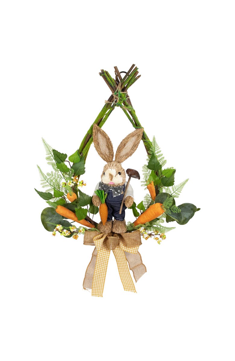 Northlight Farmer Bunny Moss Vines Teardrop Easter Wreath - 22" - Green and Orange - Unlit, Alternate, color, Green