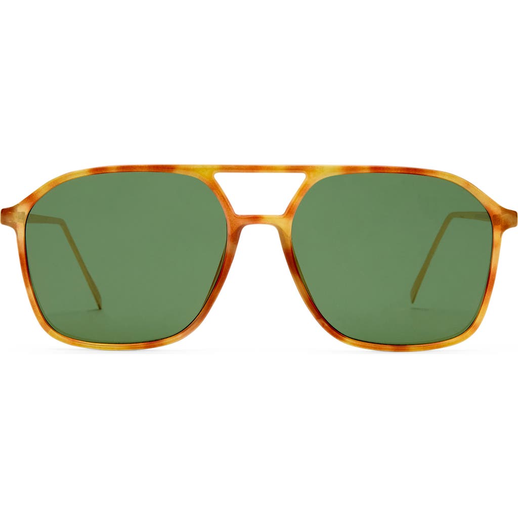 Aire Cusp 55mm Aviator Sunglasses In Green