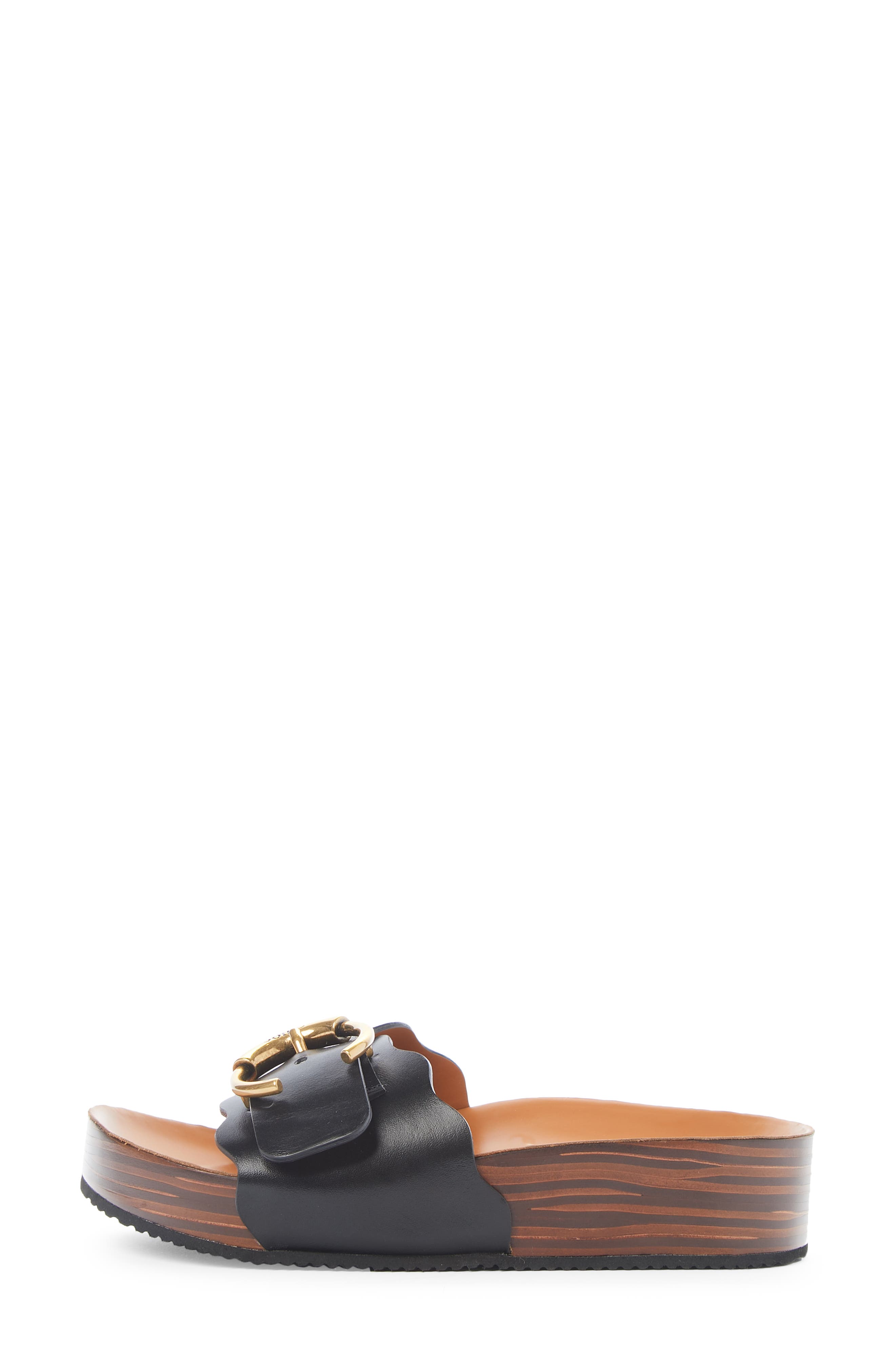 Chloé Lauren Logo Buckle Platform Slide Sandal, Alternate, color, 