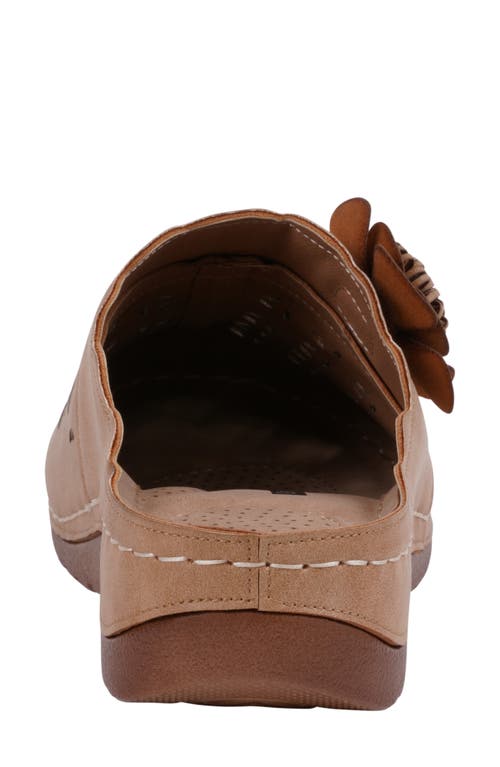 Gc Shoes Marisol Clog In Multi