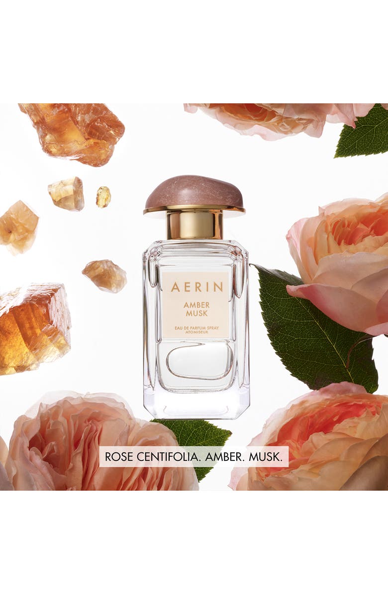 Estée Lauder AERIN Amber Musk Eau de Parfum Perfume Spray, Alternate, color,